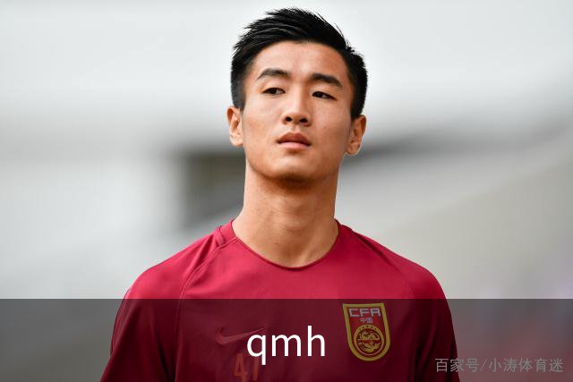 关于qmh